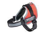 Zooafari Security dog harness in bright orange with reflective strips.
