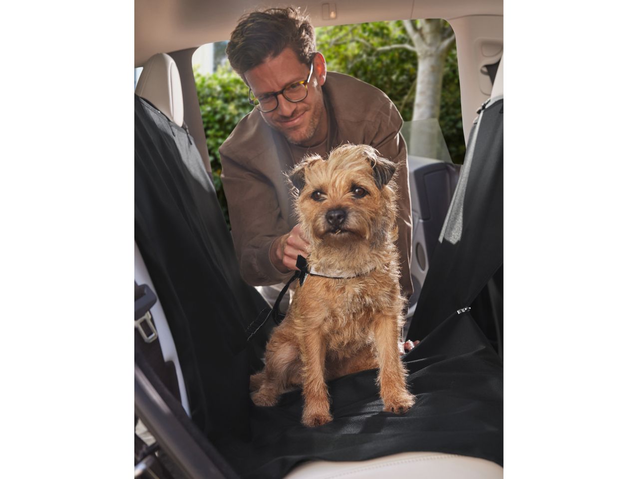 A man secures his Border Terrier in a car seat cover with a harness.