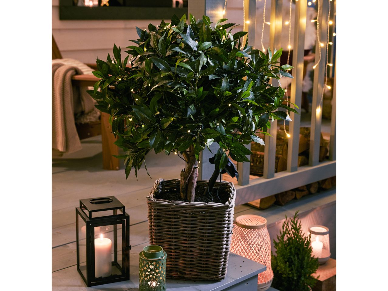 Bay tree with fairy lights, lanterns, and a small evergreen plant on a porch.