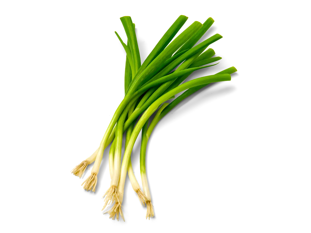 Bos verse groene lente-uitjes.
