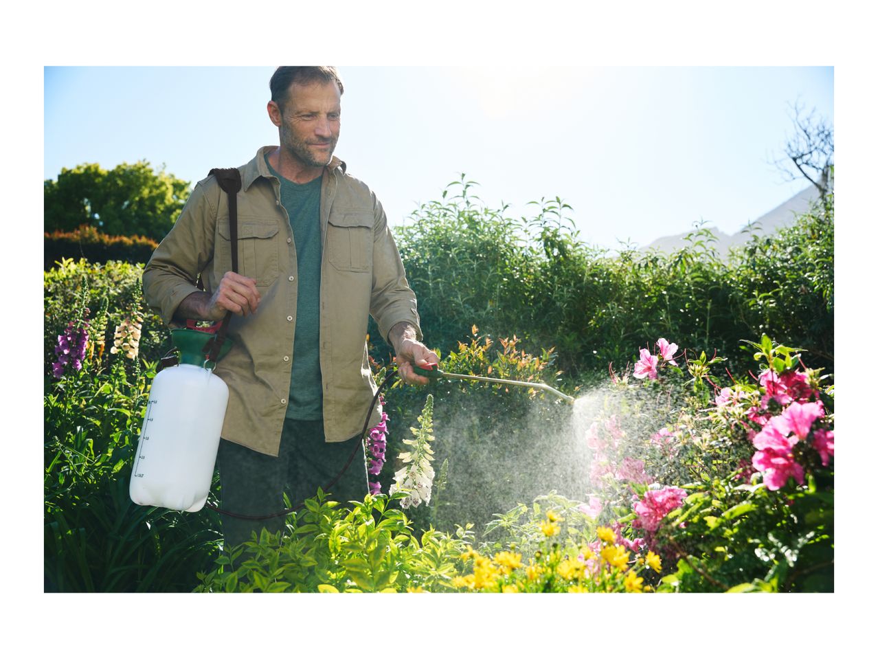 Man spraying plants in a garden with a garden sprayer.