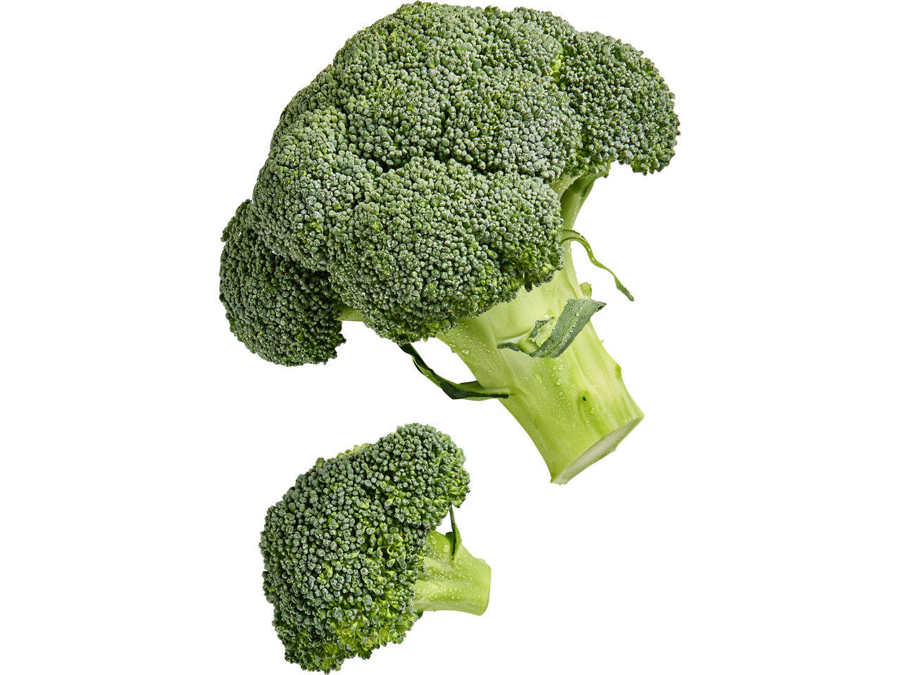 Två färska broccolibuketter med vattendroppar på en svart bakgrund.