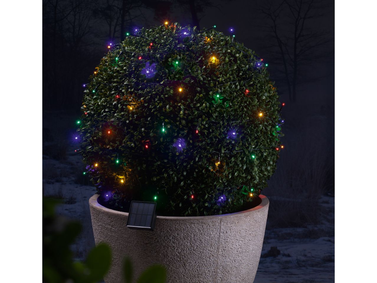 Solar-powered LED string lights on a potted topiary bush at night.
