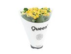 En potteplante med gule blomster i en hvid indpakning med 'Queen'-logoet.