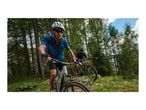 Two men mountain biking through a forest on a sunny day.