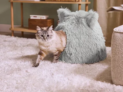 Kisállatfekhely / macskakuckó