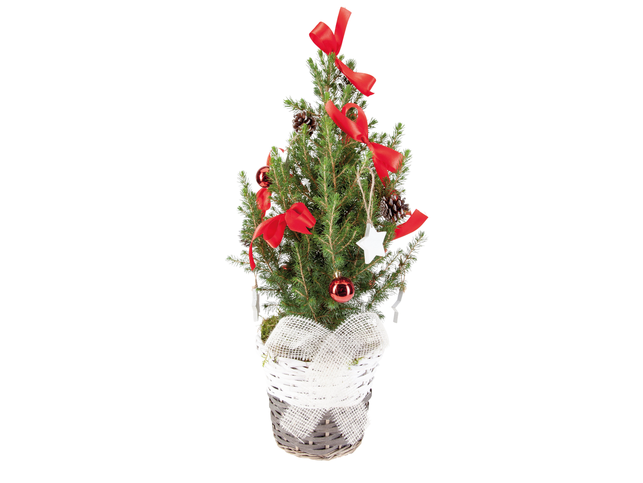 Miniature Christmas tree in a pot with red and white decorations.