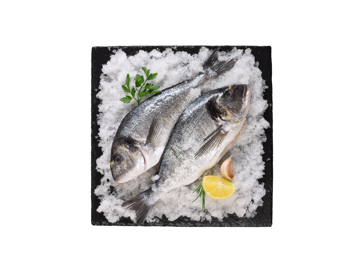 Dve sveže orade na ledu sa peršunom, limunom i belim lukom.