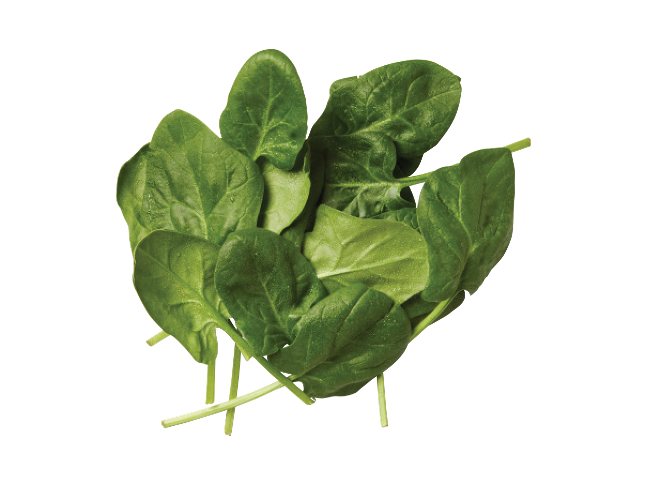 Švieži špinatų lapai, išdėlioti ant juodo fono.