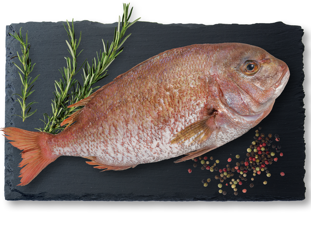 Прясна червена риба с розмарин и черен пипер върху черна дъска.