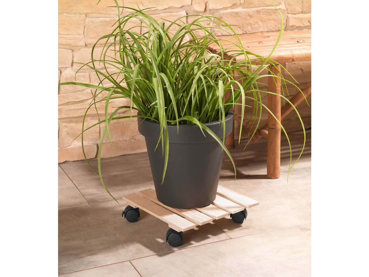 Plantă în ghiveci negru pe suport de lemn cu roți pe gresie