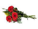 Boeket met rode gerbera's en anjers.