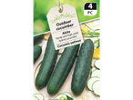 Premium Vegetable Seeds: Outdoor cucumber Akito, 4 pieces, Cucumis sativus