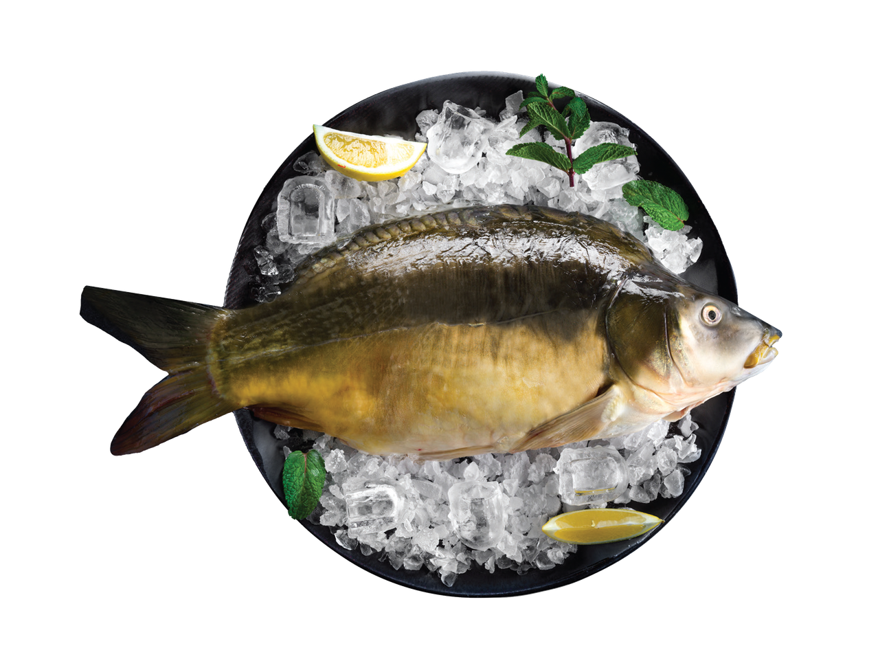 Svež šaran na ledu sa kriškama limuna i listovima mente na crnom tanjiru.