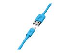 Blue Juice USB to Lightning charging cable with both ends visible.