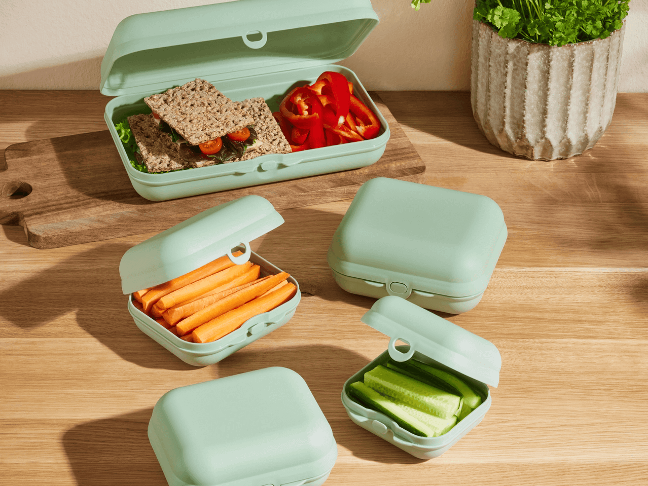 Hellgrüne Brotdosen mit Sandwiches, Paprika, Karotten und Gurken auf einem Holztisch.