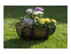 Barrel planter with white, yellow, and purple chrysanthemums, and green foliage on grass.
