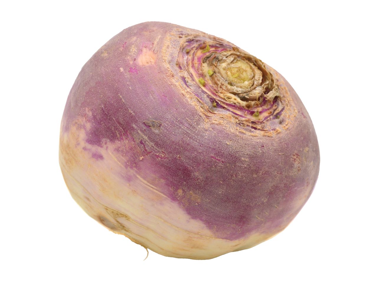 A single, whole turnip with purple and white skin, isolated on a white background.