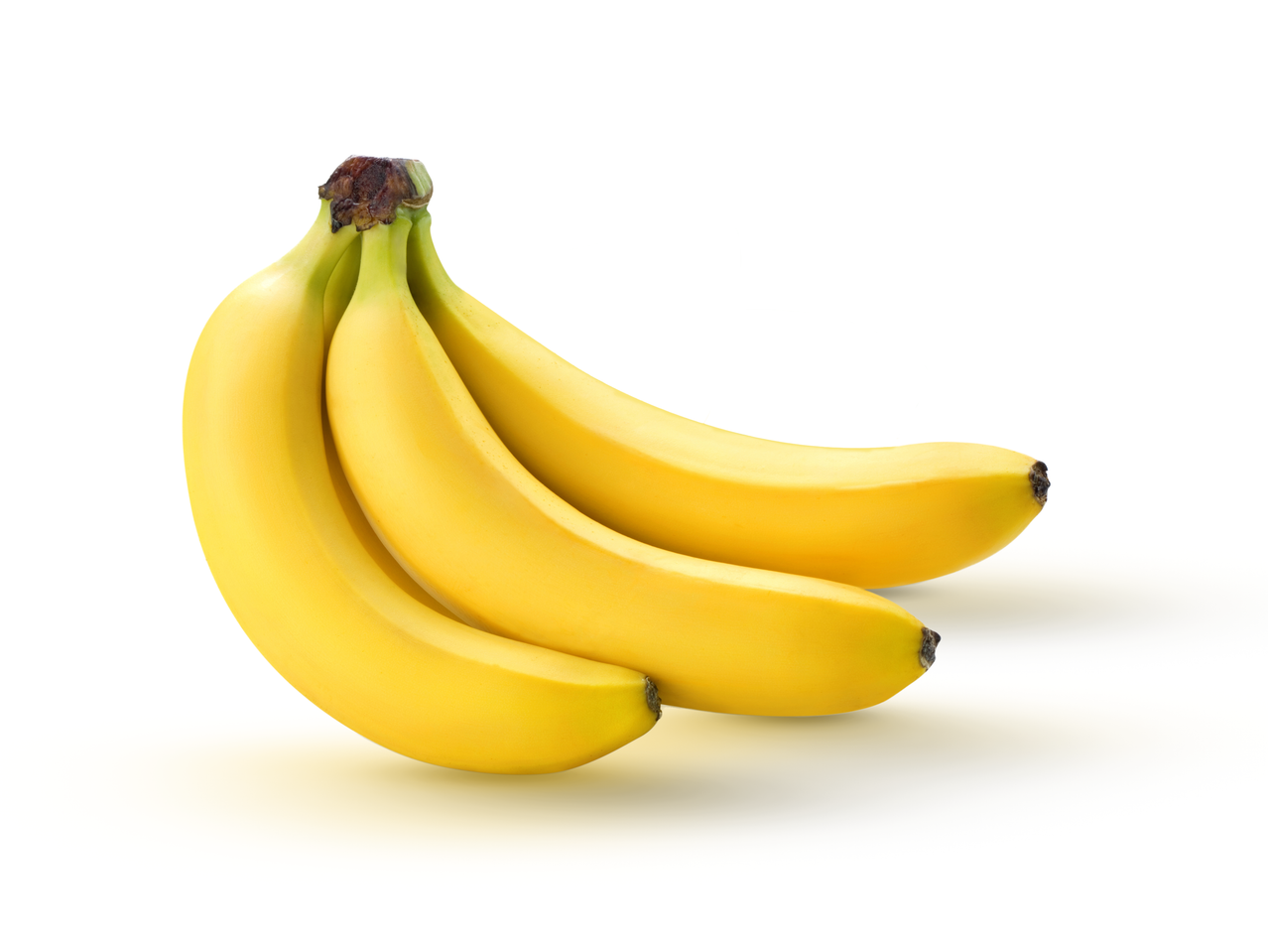 A bunch of ripe yellow Fairtrade organic bananas on a white background.