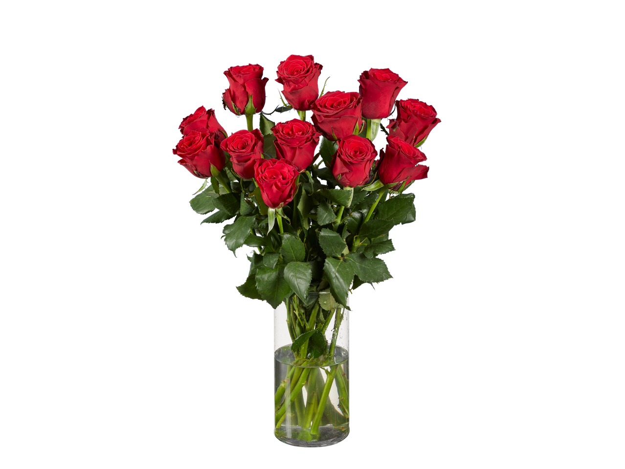 Raudonų rožių puokštė vazonėlyje.