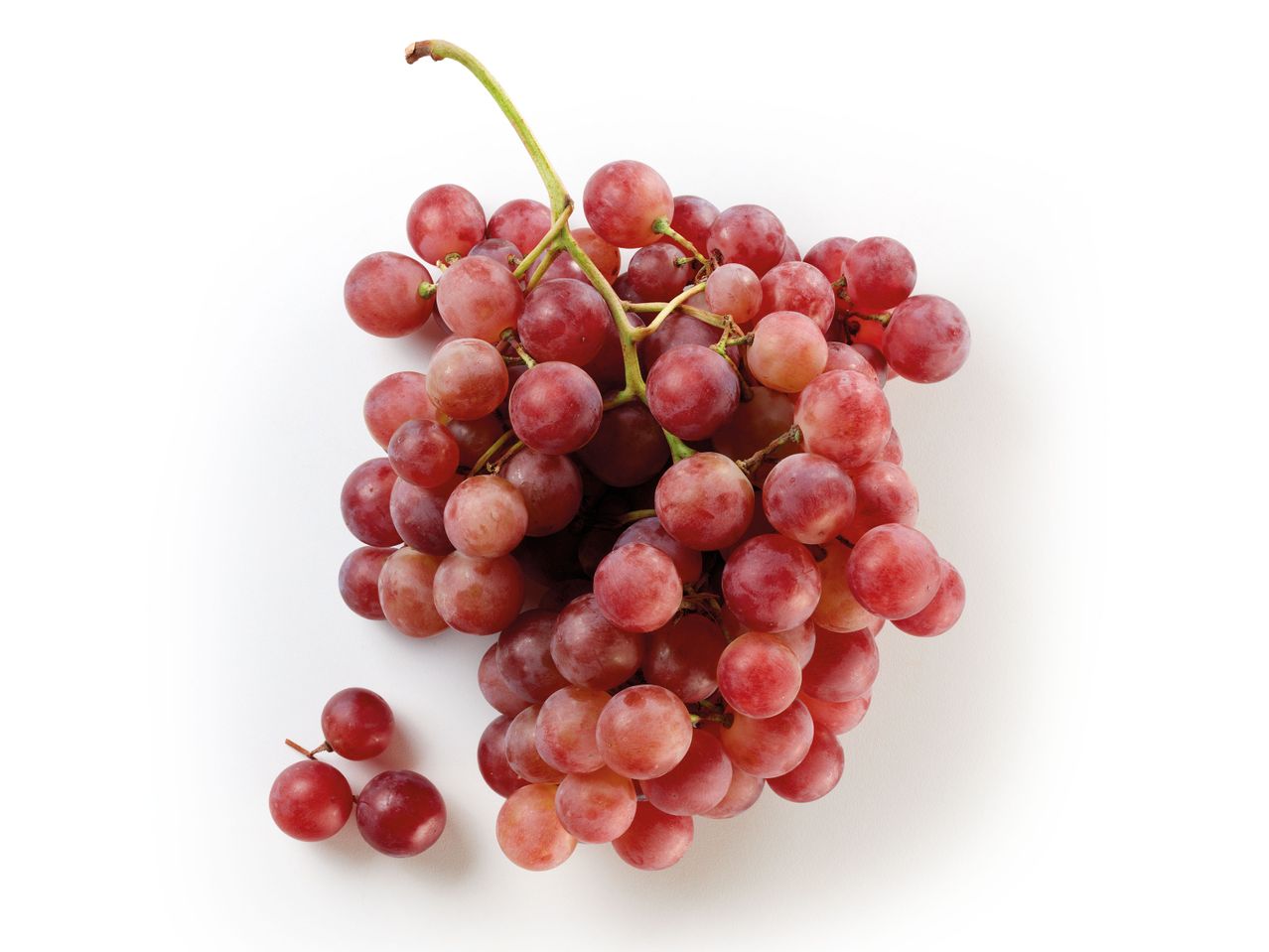 Uva rossa su sfondo bianco