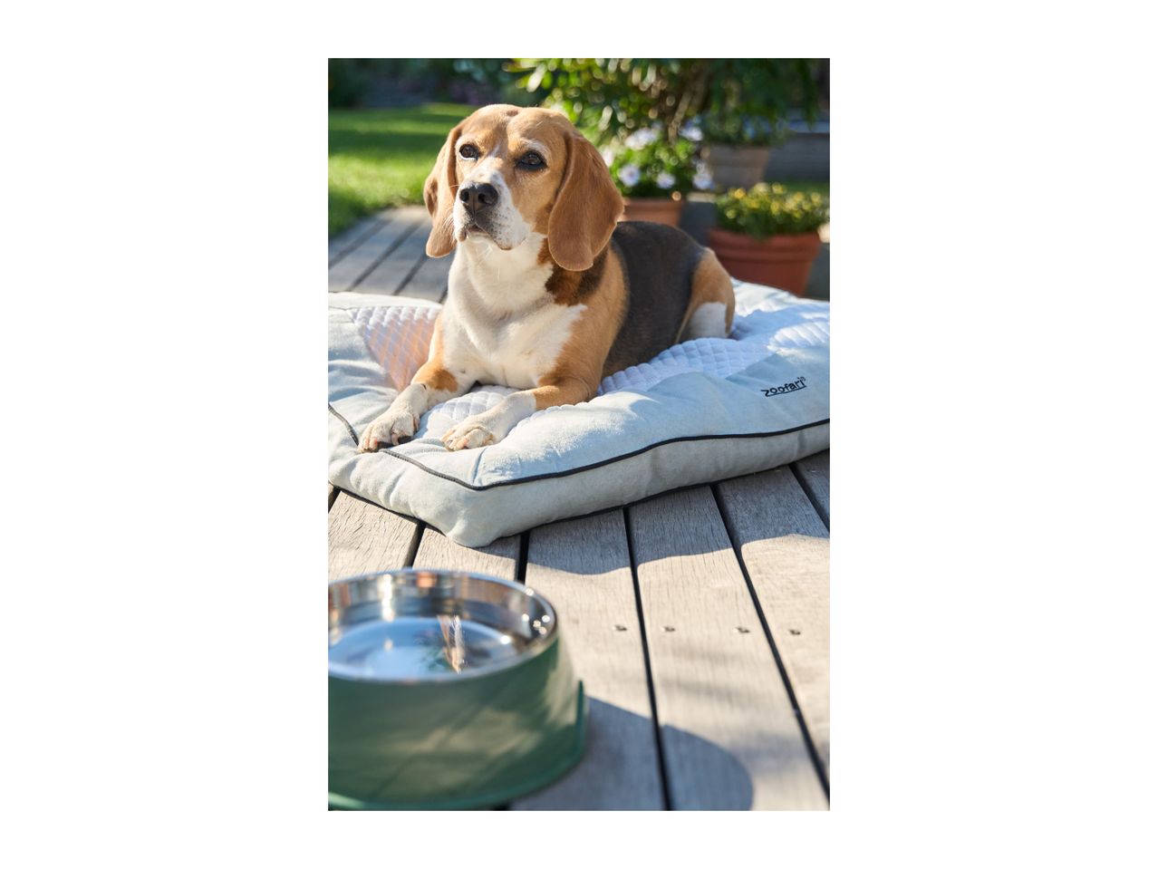 Beagle dog lying on a light grey pet bed with a water bowl nearby on a wooden deck.