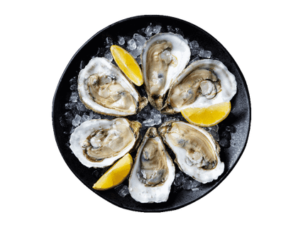 Zeeland’s Roem Austeres 6gab