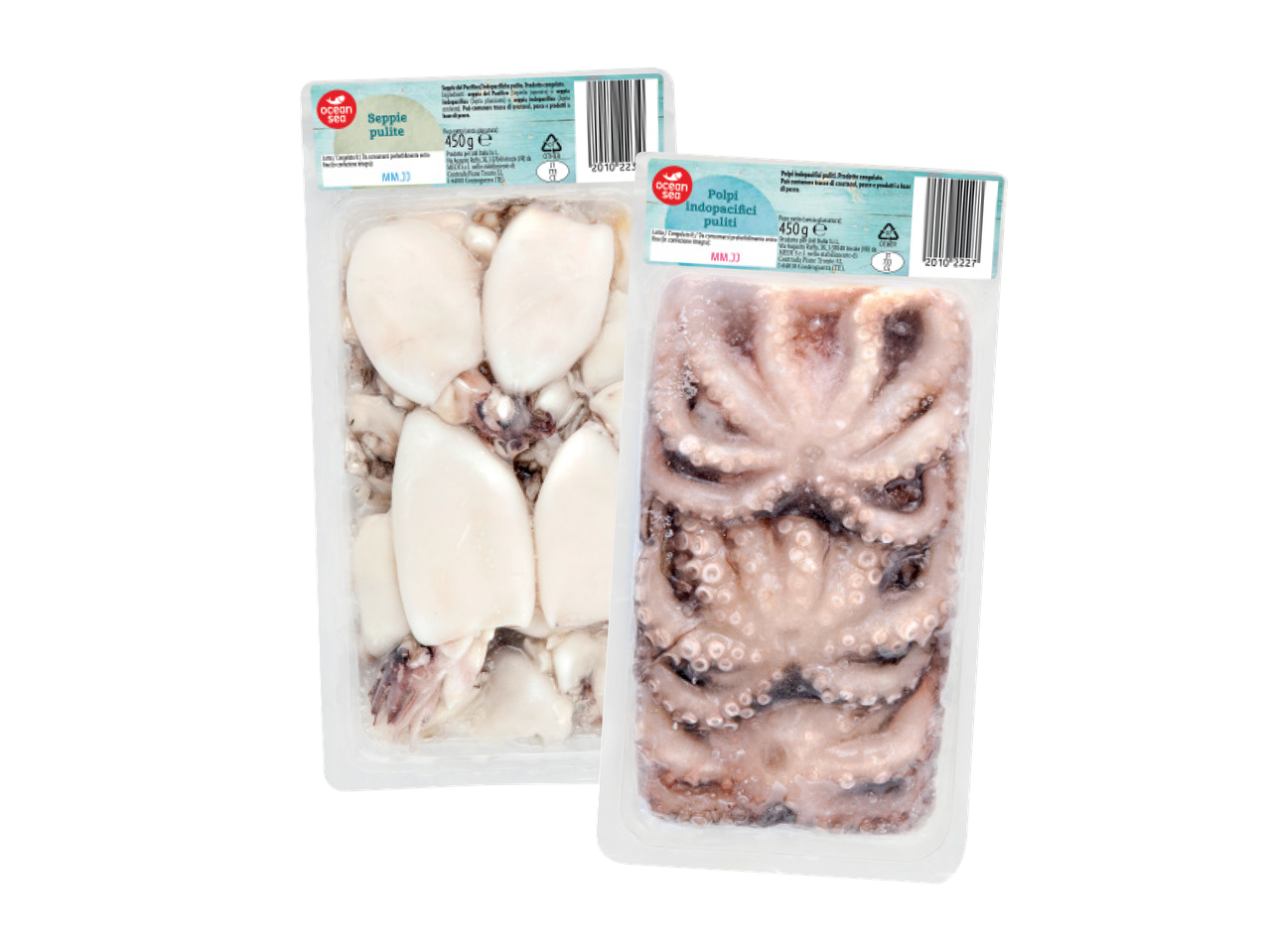 Octopus or Cuttlefish