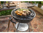 Grillmeister Cast Iron Grill Pan/Plate with steak, potatoes, and green beans on a charcoal grill.
