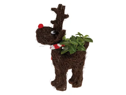 Karácsonyi rénszarvas*