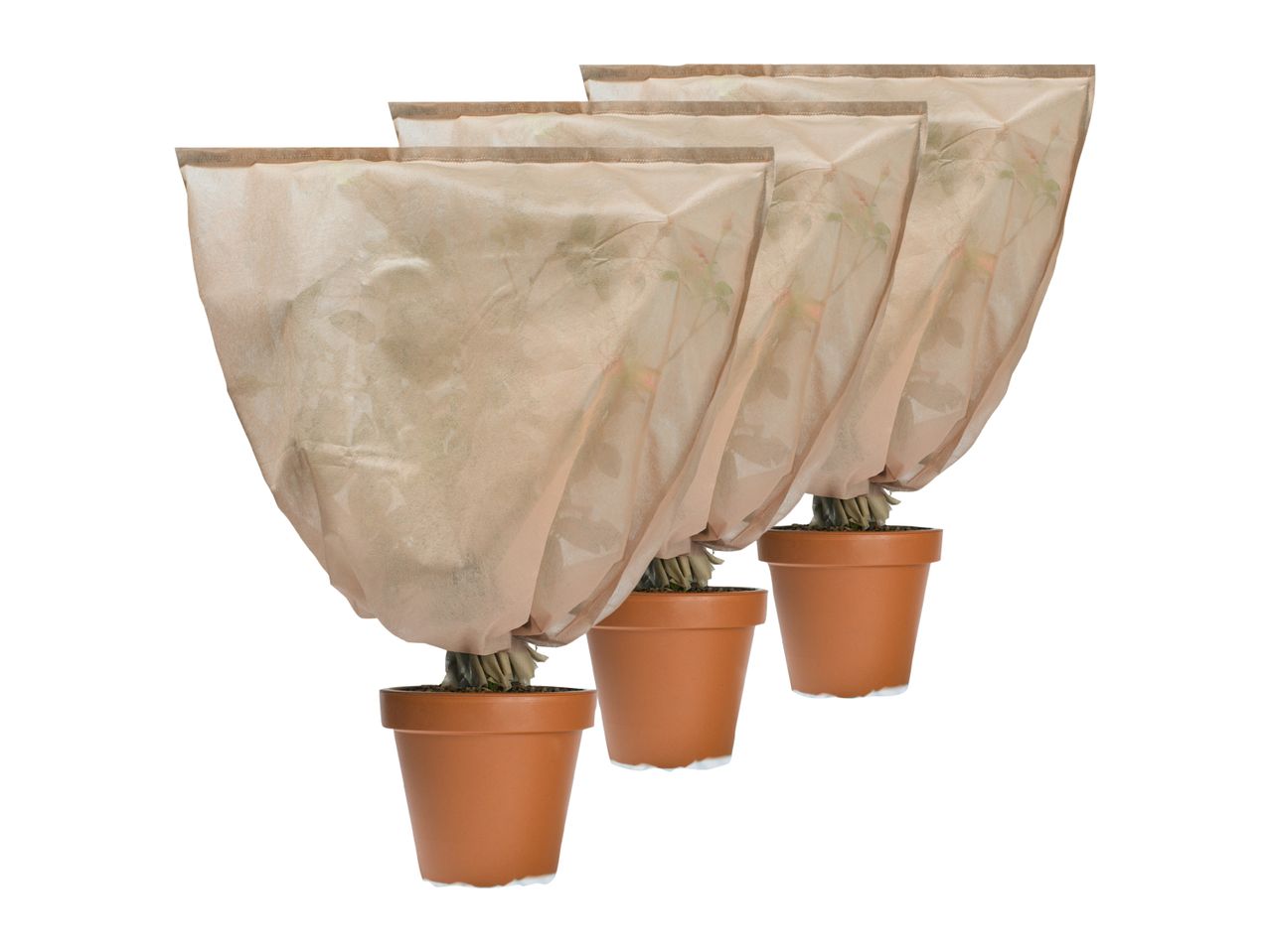 Three potted plants covered with protective beige winter fleece bags