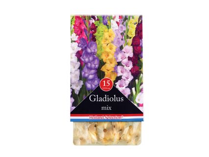 Őszi virághagymák*