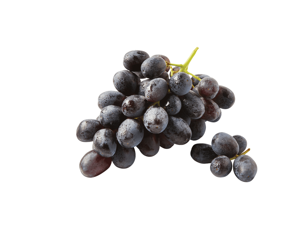 Svaigas, tumšas vīnogas ar ūdens pilieniem uz melna fona.