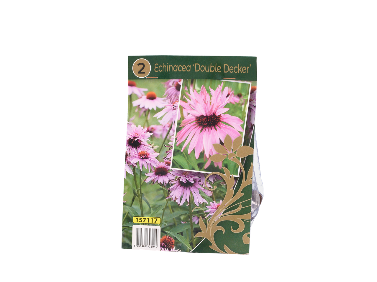 Pakovanje lukovica cveća Echinacea 'Double Decker' sa bar kodom i brojem artikla 157117