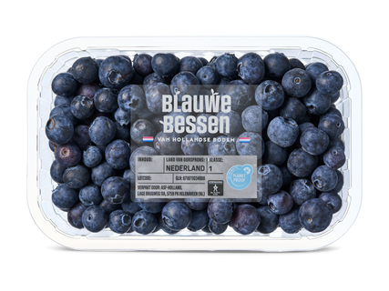 Blauwe bessen