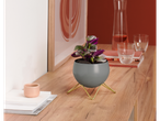 Vaso de flores cinza com uma planta roxa em uma mesa de madeira.