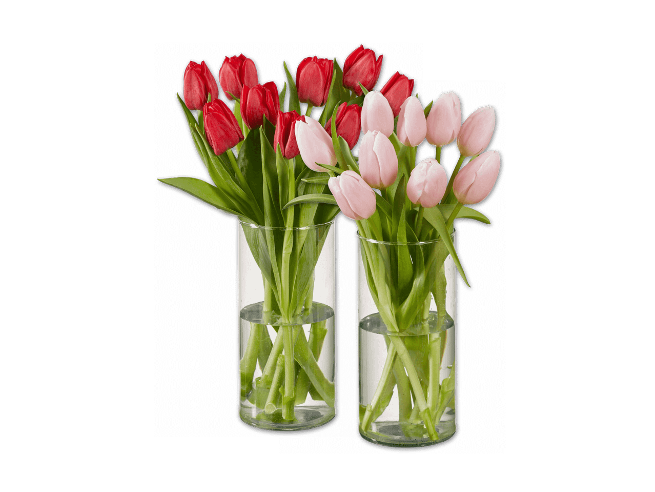 Zwei Vasen mit roten und rosa Tulpen auf schwarzem Hintergrund.