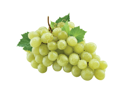 Hele viinamari, seemneteta