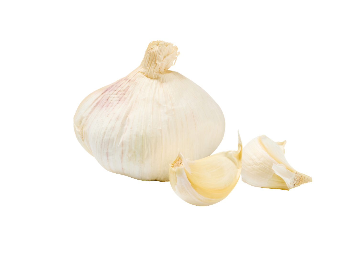 Knoflook