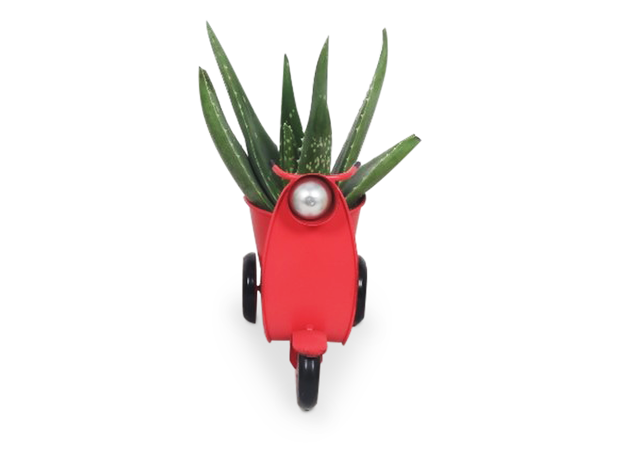 Rode scooter plantenbak met een aloë vera plant.