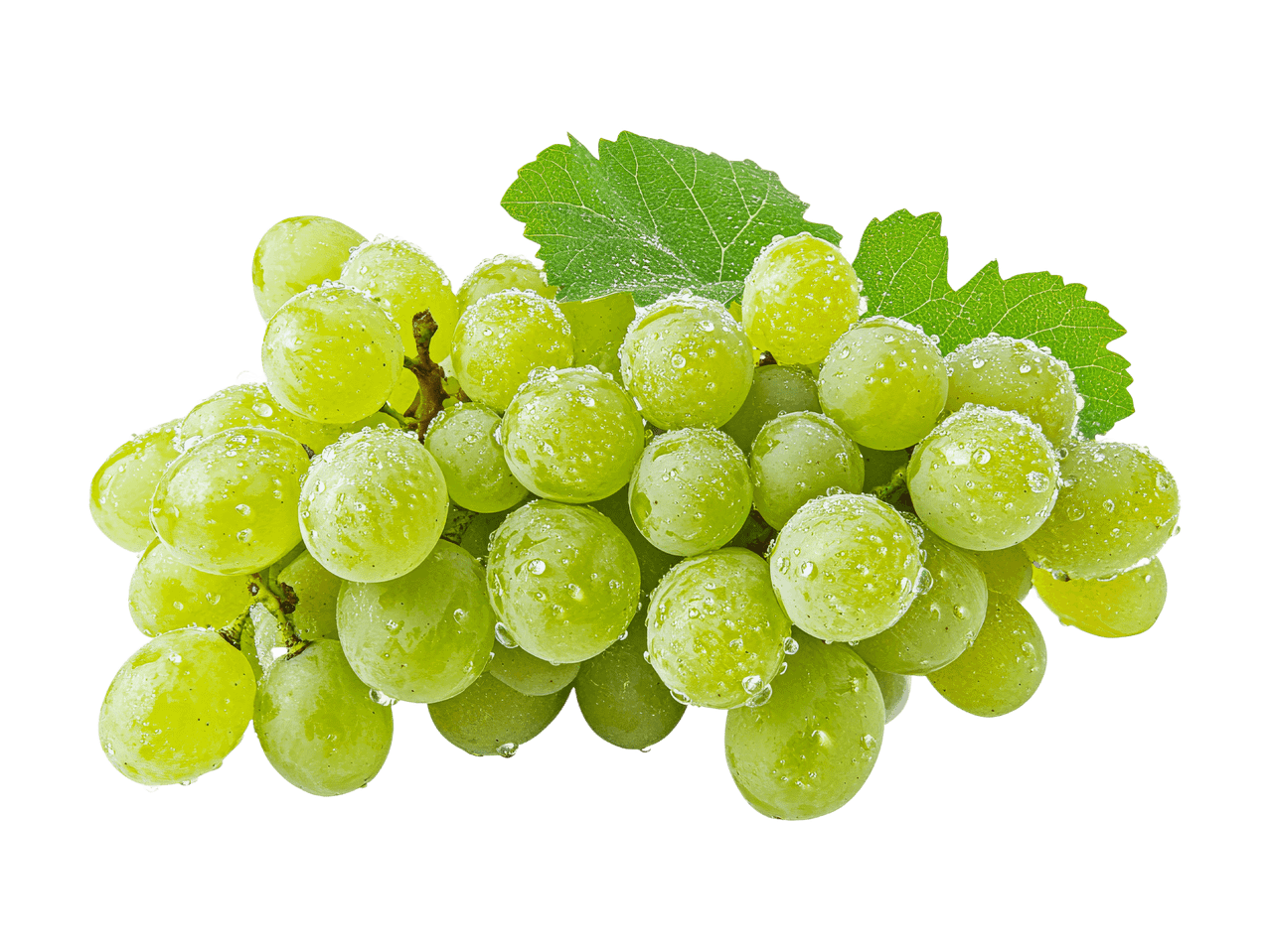 Eine Traube saftiger, grüner Weintrauben mit Wassertropfen auf den Beeren und einem Blatt.