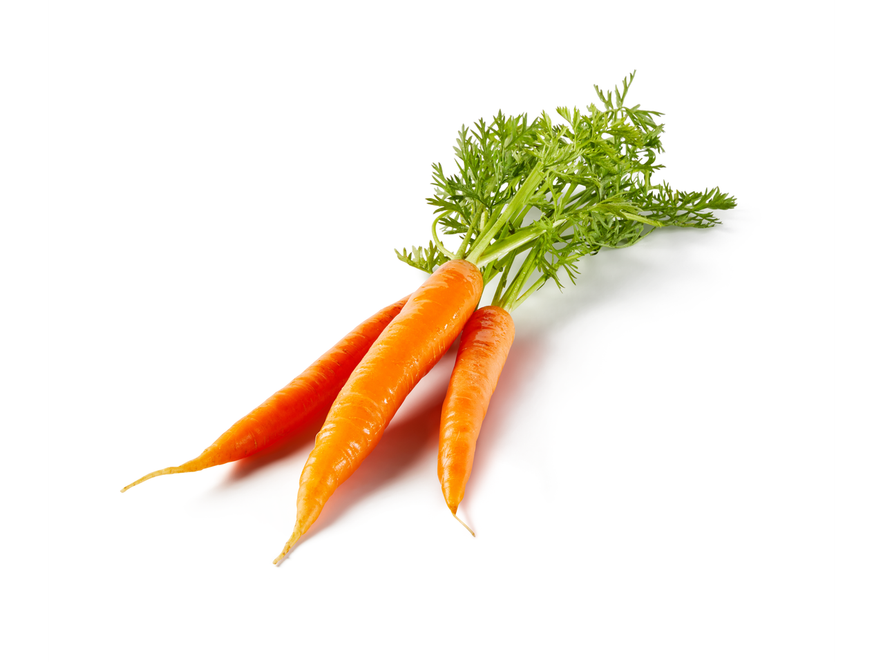 Tri svježe mrkve sa zelenim lišćem na bijeloj pozadini.