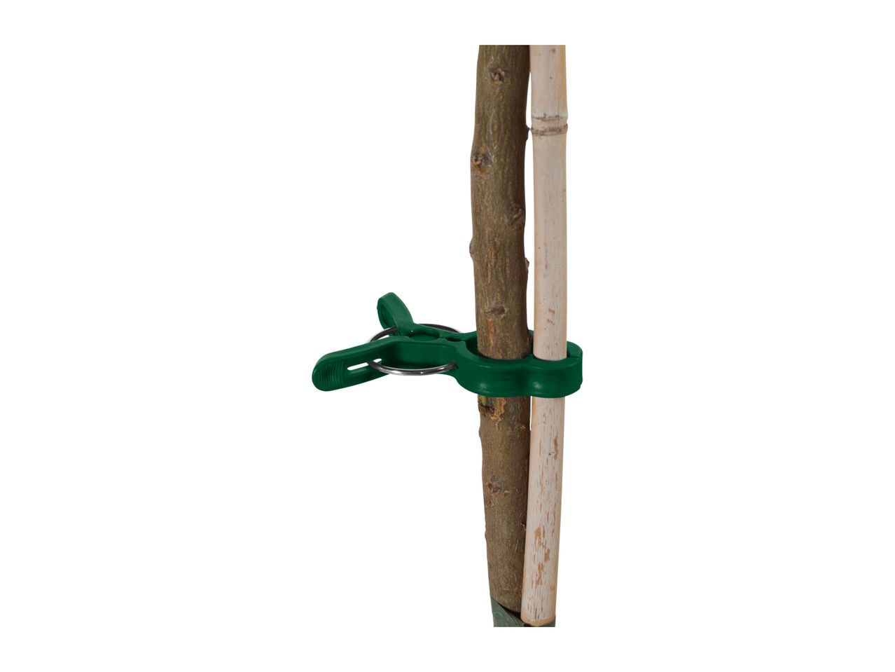 Go to full screen view: Parkside Growing Accessories Assortment - Image 10
