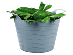Folhas verdes em uma cesta de plástico cinza com alças.