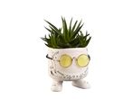 Petit pot de plante rigolo en forme de visage avec des lunettes.