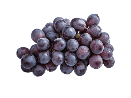 Tamsios besėklės vynuogės