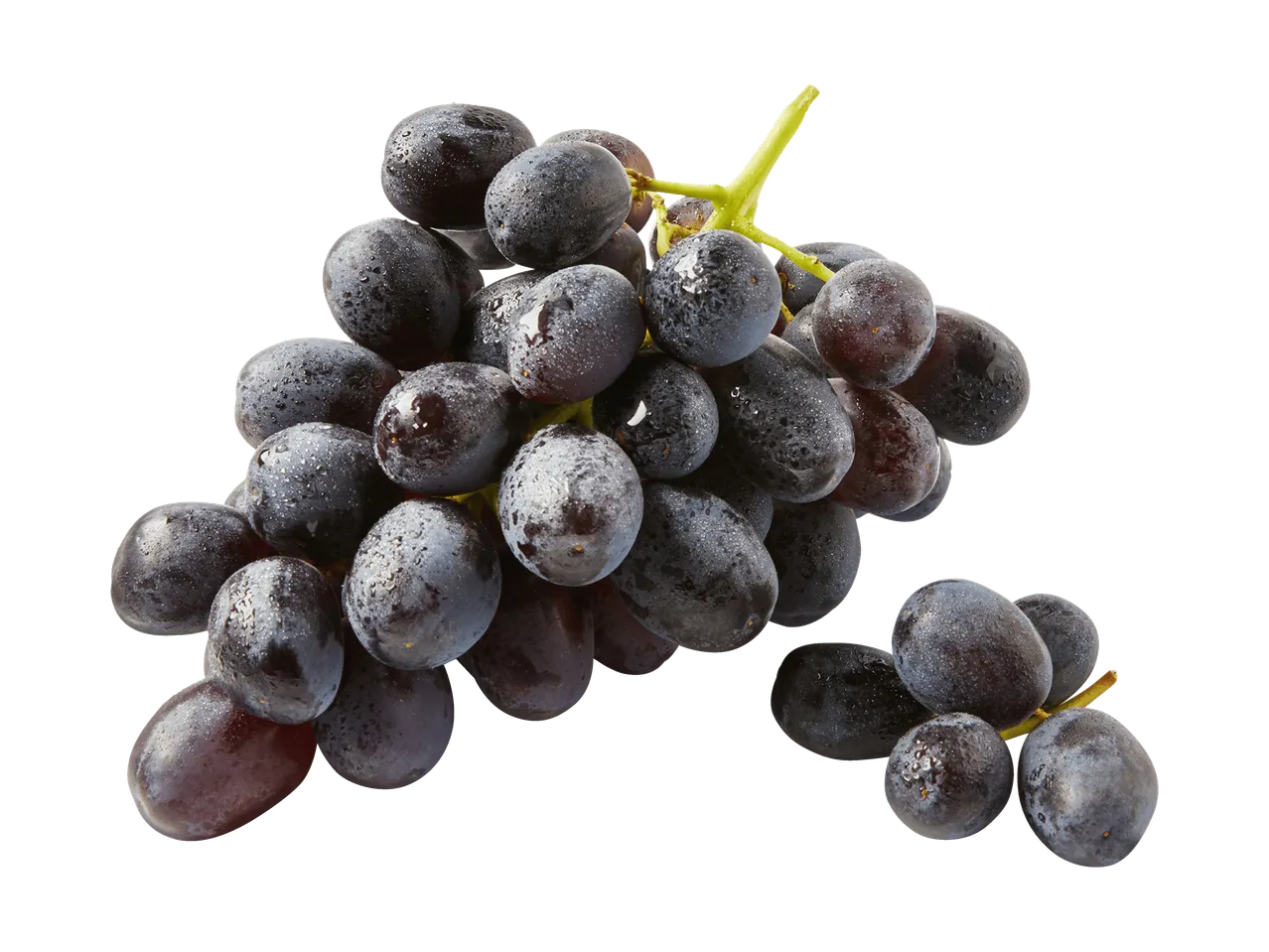 Grappolo di uva nera fresca con gocce d'acqua su sfondo nero.