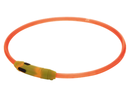 LED-es kutyanyakörv