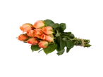 Buquê de rosas laranja em fundo preto.