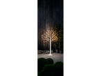 LIVARNO home LED Light Tree with warm white lights in a garden setting at night